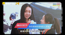 南瓜花的纯情